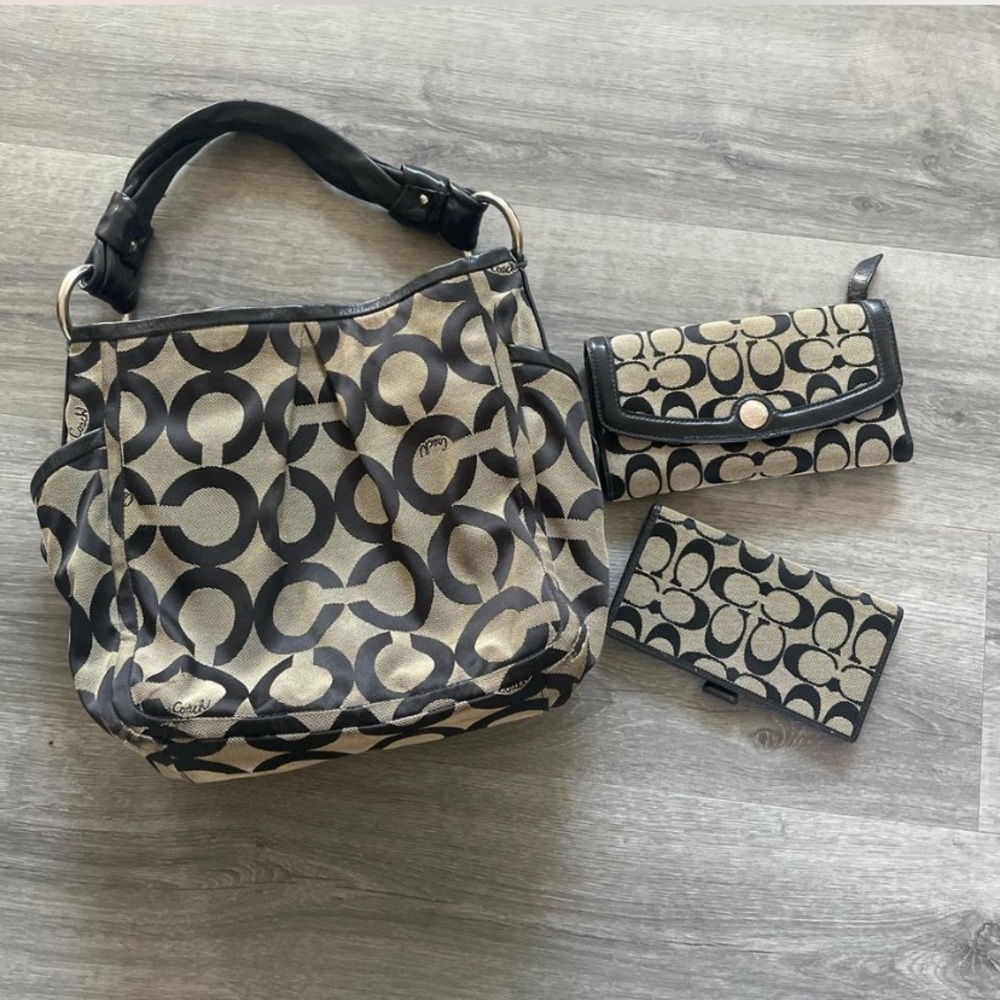 Coach wallet and bag